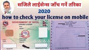 how to check driving licence details