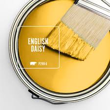 English Daisy Colorfully Behr