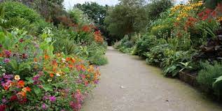 national botanic garden kilmacurragh