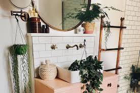 Decorate Your Bathroom With Plants