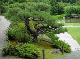 The Seattle Japanese Garden Then Now