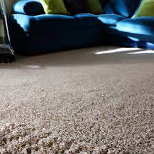 carpet cleaning services in tauranga