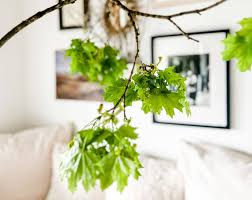 decorating with tree branches