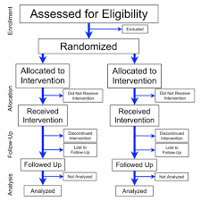 File Flowchart Of Phases Of Parallel Randomized Trial