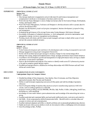 160+ free resume templates for word. Principal Consultant Resume Samples Velvet Jobs