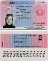 However there is an accelerated procedure of receiving swiss residence permit by investment into. 18 Popular Golden Visa Programs Belgium Portugal France Switzerland