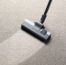 carpet care maintenance south