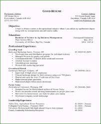 56 Stupendous Sample Resume Objective Statements You Have To