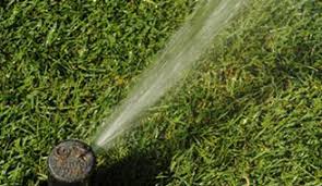 lawn watering tips when is the best