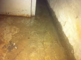 Causes Of Wet Basement Secure Restoration