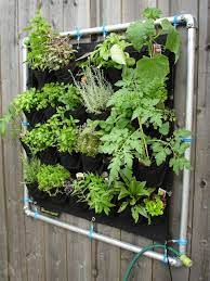 How To Start A Diy Vertical Garden And