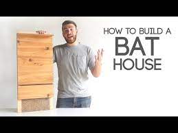 How To Build A Bat House Modern