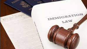 What does an immigration lawyer do?