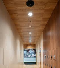 wooden acoustic ceiling tiles wooden
