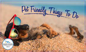 pet friendly things to do north myrtle