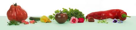 New Zealand Fruit Vegetable And Herb Seasons The Produce