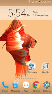 betta fish 3d live wallpaper for