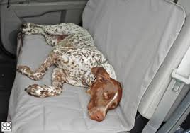Car Seat Protectors And Dog Hammocks