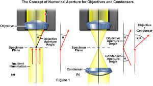 Numerical Aperture And Resolution