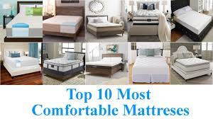 We find the 10 best options, so you can make informed decisions on tons of products. Top 10 Most Comfortable Mattresses 2020 Youtube