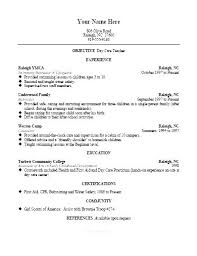 Day Care Experience On Resume