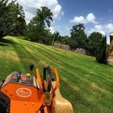 Affordable Grass Cutting And Lawn Mowing In Idaho