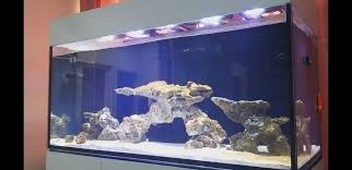 laminated glass for aquarium