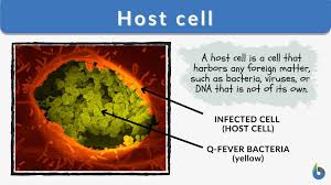 host cell definition and exles