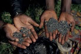 Alibaba.com features a broad selection of optimal quality coltan price that work with high precision and make your work easier. The Gorilla Organization S Ian Redmond Returns To The Congo S Coltan Mines With Daily Mirror Investigators The Gorilla Organization
