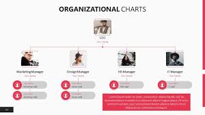 organizational chart templates free