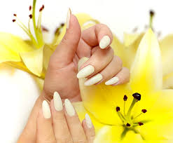 home nail salon 22150 lily nails