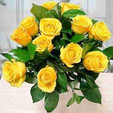 dozen yellow rose bouquet gifts to spain