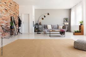 beige carpet in modern living room