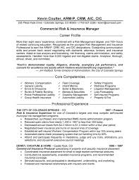 A wide variety of insurance. Insurance Manager Resume Example