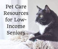 There are also other options that fall under more of a miscellaneous category. Pet Care Resources For Low Income Seniors Senioradvisor Com Blog