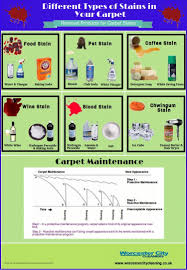 diffe types of carpet stains