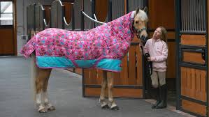 best le rugs for keeping your horse
