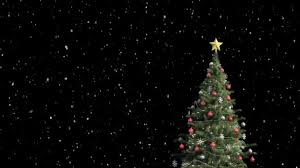 You can also upload and share your favorite christmas backgrounds. Animated Shiny Lights On Green Christmas Tree With Designer Snow Flowers Falling In The Dark Black Background Useful For Celebration Festival Season As Virtual Set Backdrop For Broadcasting Programs Stock Video C