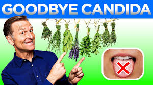 say goodbye to candida the best ways