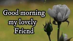 Check spelling or type a new query. 80 Glorious Good Morning Messages For Friend 2021 Update