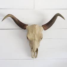 Rustic Cow Skull Wall Décor Antique