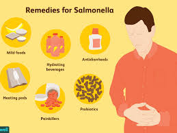 Salmonella bacteria typically live in animal and human intestines and are shed through feces. How Salmonella Is Treated