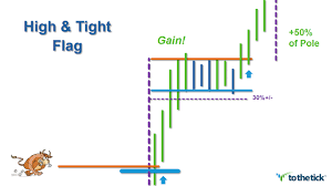 Trading Weeks High Tight Flag Pattern