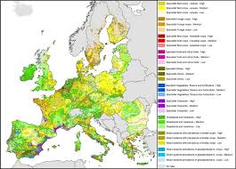 european agricultural land