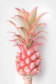 what is pink pineapple healthier steps