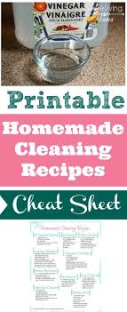 homemade cleaning recipes with