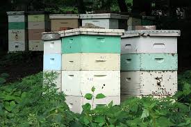 Beehive Wikipedia