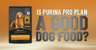 purina pro plan dog food review dogs