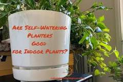are-self-watering-planters-good-for-indoor-plants