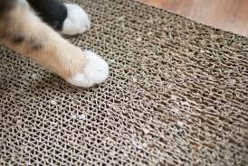 the best cat scratching board to keep